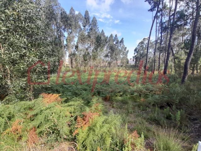 Excelente Terreno Plano à Venda 1.000 m² | Fermentelos