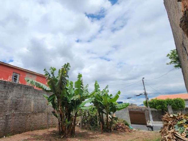 EXCELENTE TERRENO PLANO NO CENTRO DE FRANCISCO MORATO!