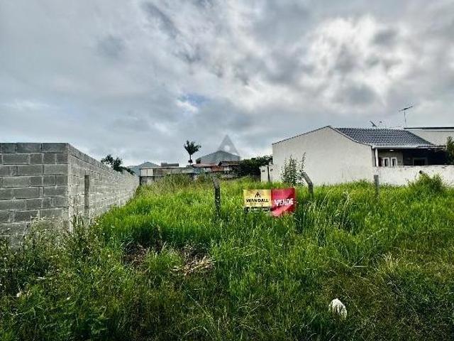 EXCELENTE TERRENO PROXIMO A BR 277