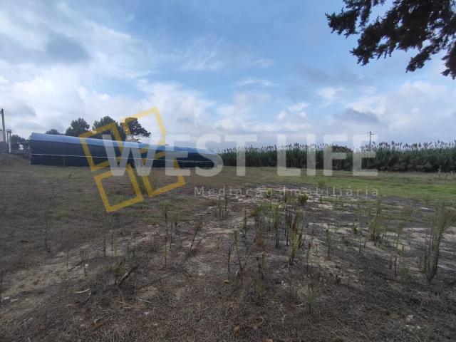 Excelente Terreno Rústico com 6.410 m² | Ideal para Projeto Agrícola ou Empresarial | Silveira