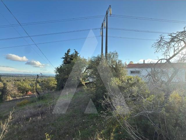 Excelente Terreno Rustico em Boliqueime com acesso a estrada e vista mar