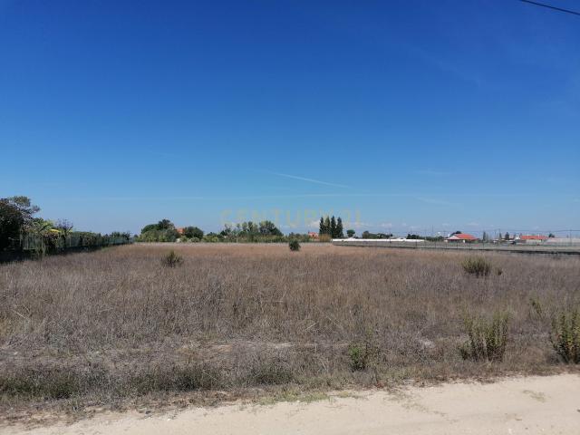 Terreno Rústico com 5000 m2 e Piso Regular Herdade do Bilrete, Benavente a 40 min de Lisboa