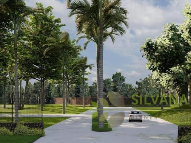 Excelentes Terrenos planos en privada, Centro de Jiutepec, Morelos