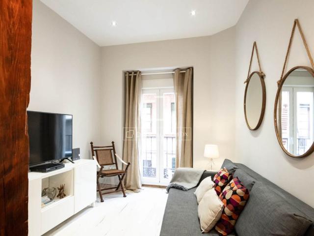 Excellent 1 Bedroom apartment for rent in Cortes / Huertas, Madrid