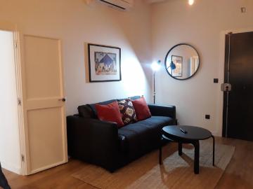 Excellent 1 bedroom apartment in Barrio Gótico