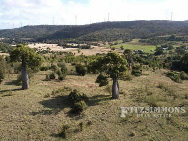 EXCELLENT BREEDER BLOCK 259 HECTARES WITH IMPROVEMENTS!