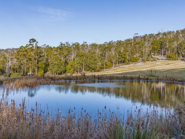 Excellent Lifestyle Opportunity on 107 Acres