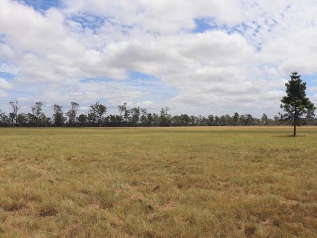 Excellent Starter or Lifestyle block in Prime Location