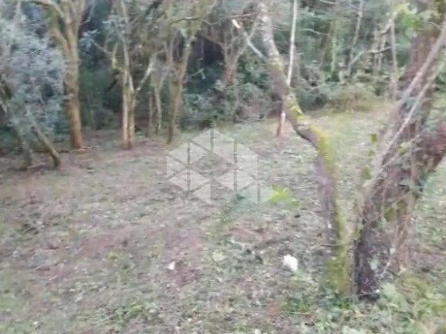 Excepcional Terreno com 5.140 m² de área privativa em posição privilegiada no bairro Vila Nova em Po