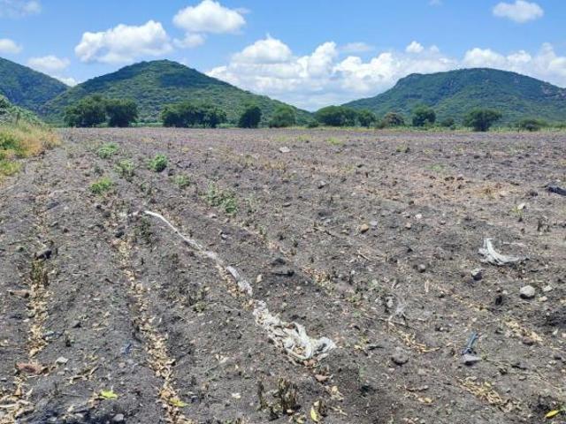 Excepcional terreno con Jagüey | Jonacatepec | MORELOS VENTA