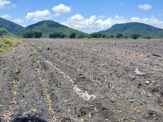 Excepcional terreno con Jag?ey | Jonacatepec | MORELOS VENTA