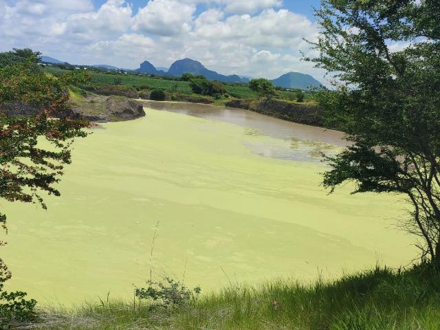 Excepcional terreno con Jag?ey | Jonacatepec | MORELOS VENTA