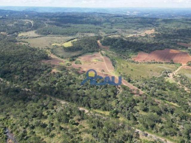 Excepcional FAZENDA com 470,3 ha no Paraná