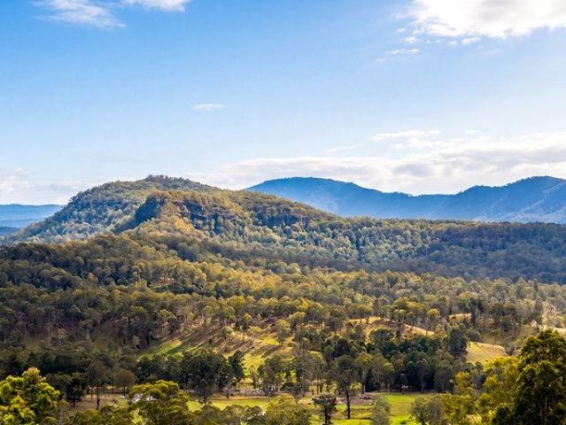 Exceptional 533 Acre Cattle & Timber Holding with Mountain Vistas Auction October 28th