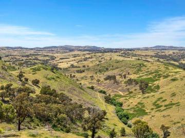 Mullion, Yass Valley, Victoria - Cellar