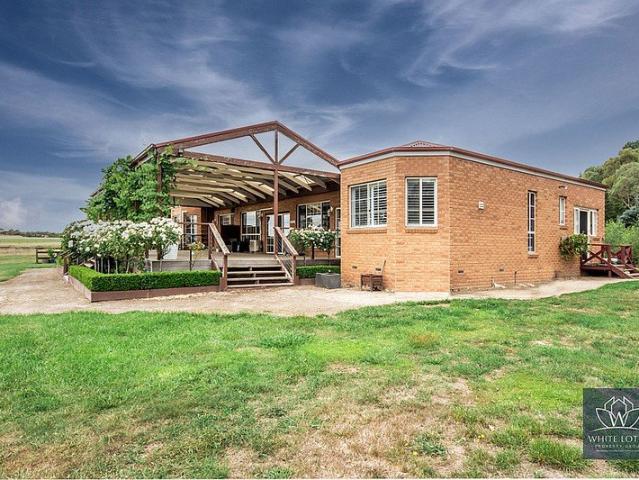 Exceptional 28 Acre Equestrian Property with Horse Racing Track