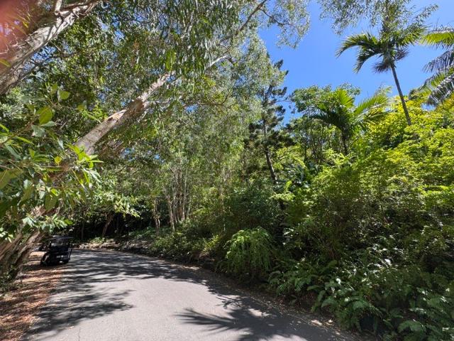 Exceptional Value Block on Hamilton Island