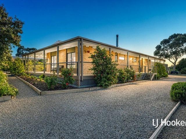 Exceptional Vehicle Space Meets Sustainable Living