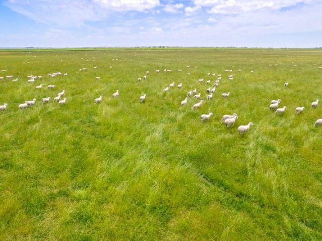 Exceptional Cropping & Grazing Opportunity