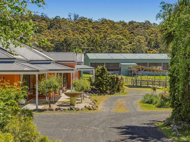 Exceptional equestrian living in beautiful parklike surroundings