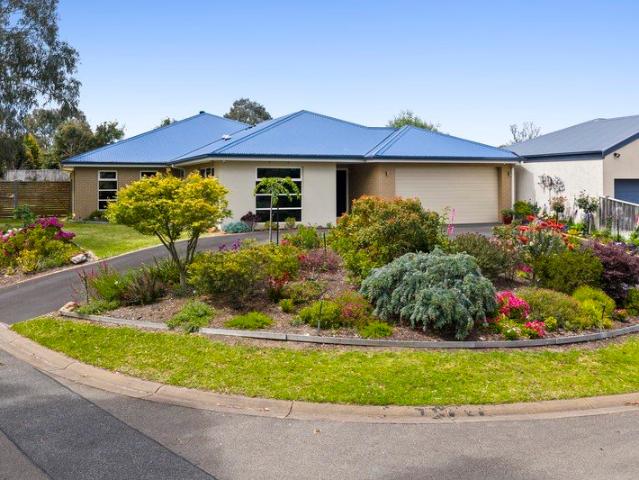 Exceptional Family Appeal