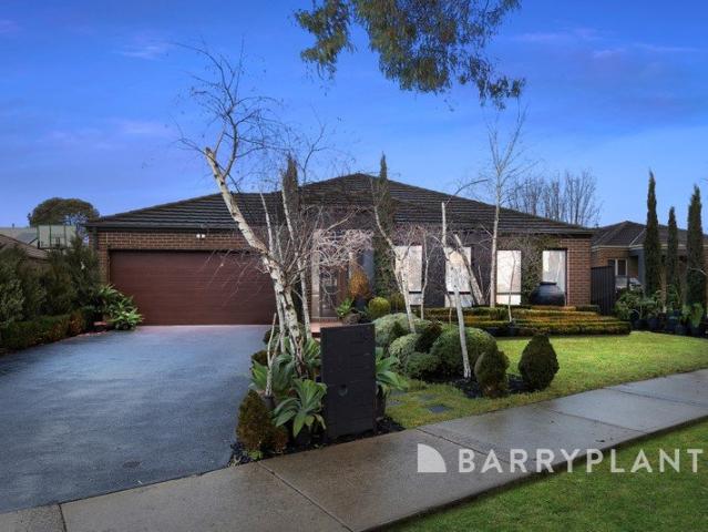 Exceptional Family Living Opposite Parklands