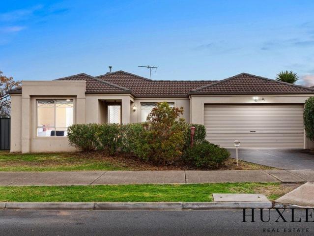 Exceptional Family Living with Space, Comfort & Potential