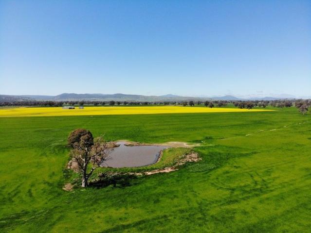 Exceptional Farming & Lifestyle Opportunity Over 100 Acres with Stunning Views