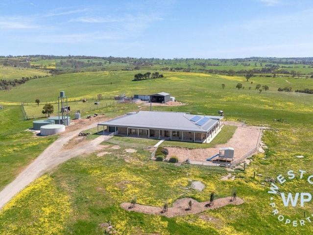 Exceptional Homestead on 260 acres with 360 degree views