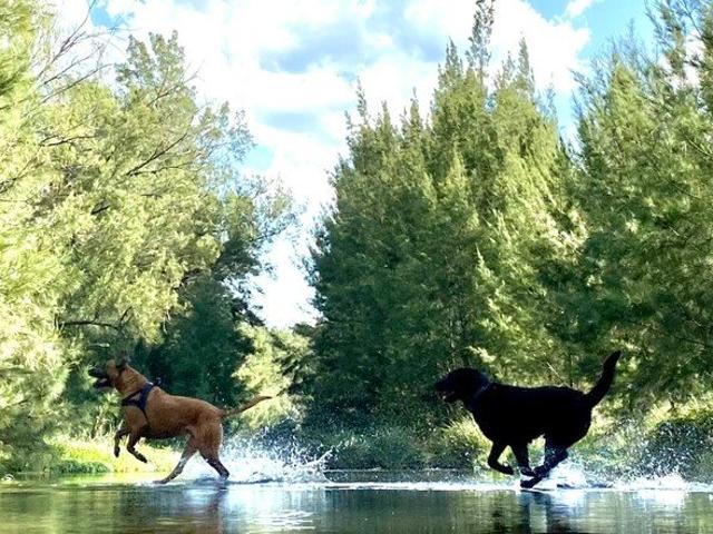 Exceptional Hunter Valley Rural Holding Lifestyle & Income