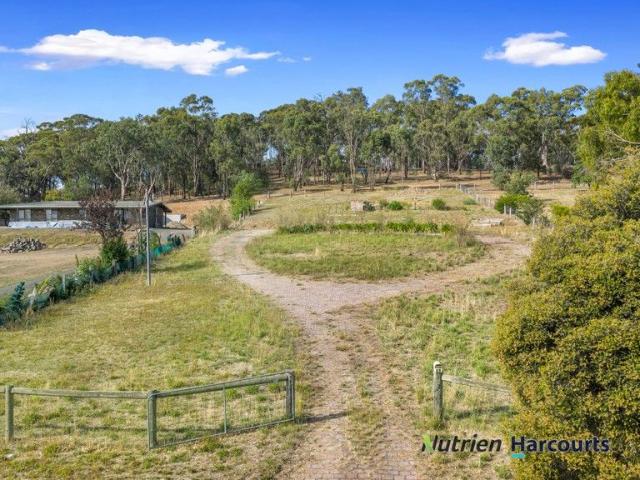 Exceptional Landholding with Approved Subdivision