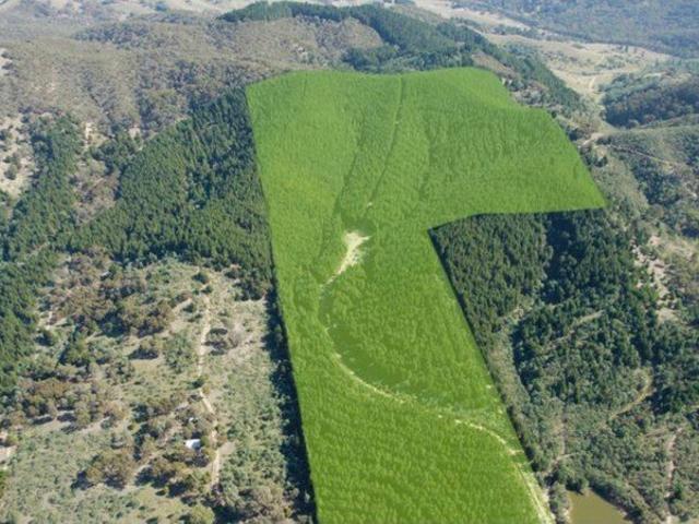 Exceptional Lifestyle & Income Generating Rural Residential Land