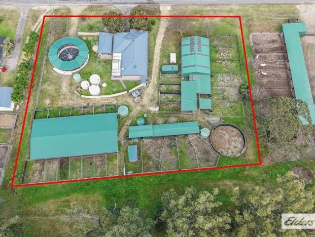 Exceptional Lifestyle with Premium Equine Infrastructure