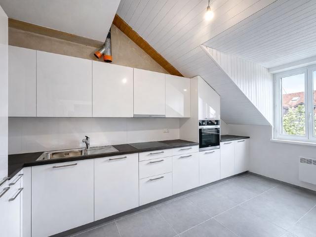 Exceptional Renovated 6 Room Duplex Penthouse in the Heart of Carouge