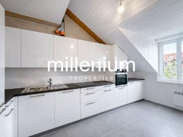 Exceptional Renovated 6 Room Duplex Penthouse in the Heart of Carouge