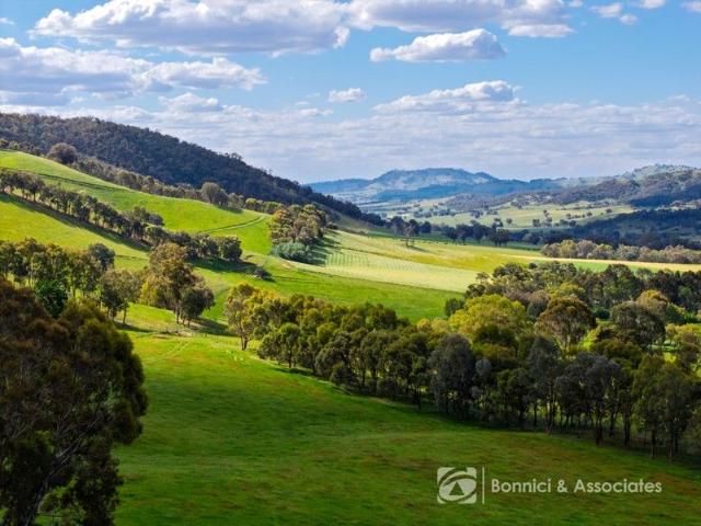 EXCEPTIONAL RURAL ESTATE IN NORTH EAST VICTORIA'S PREMIER LIFESTYLE BELT