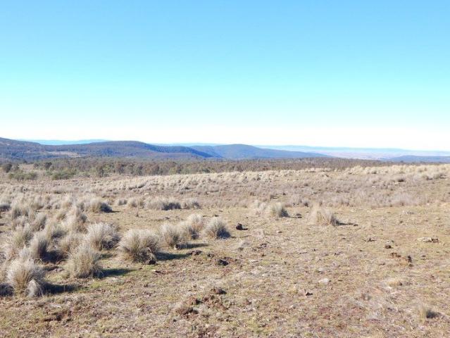 Exceptional Rural Lifestyle Opportunity Approx. 200 Acres WITH BUILDING ENTITLEMENT