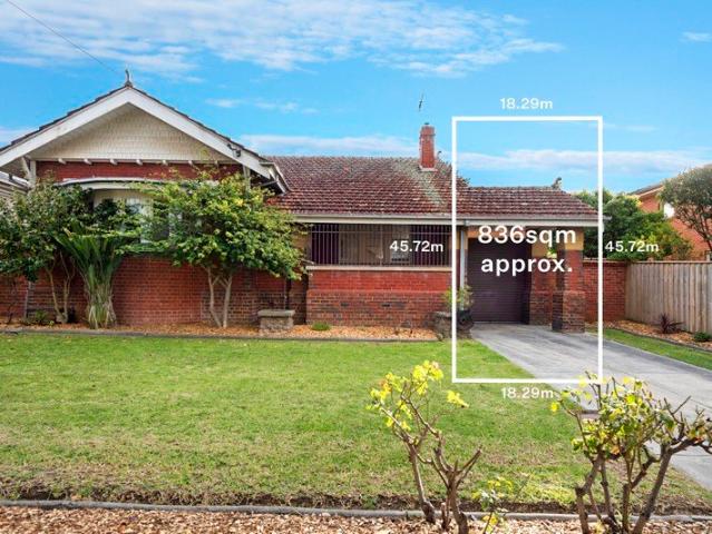 Exceptional Scope STCA in Prized Kew Pocket