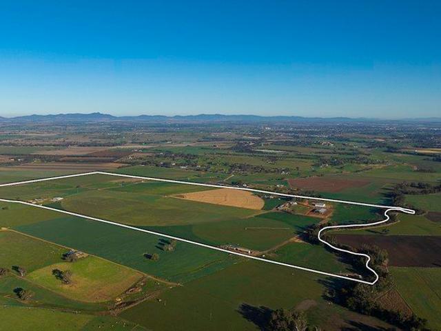 Exceptionally Developed Irrigated Fodder Factory