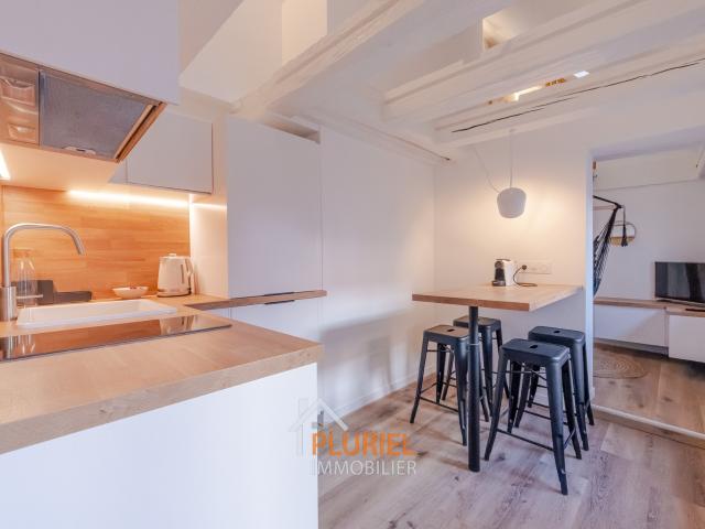 Exceptionnel 2/3 pièces en duplex meublé en Hypercentre de Strasbourg