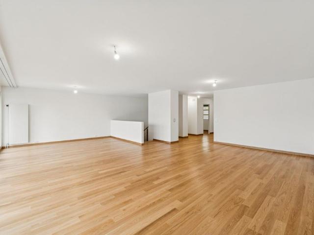 Exceptionnel attique en duplex avec terrasse rooftop !