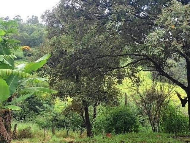 EXCLENTE SÍTIO À VENDA EM PIRACEMA/MG