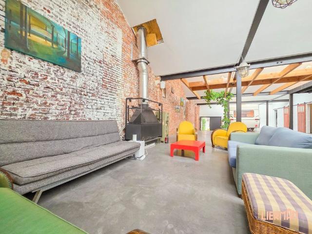 Exclusieve loftwoning van 329 m² met professionele keuken tegenover het Stadspark