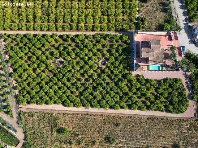 ? Exclusivo chalet en Correntías Medias Orihuela con finca privada de 9.480 m²