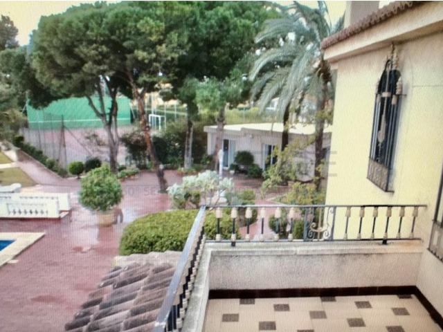 EXCLUSIVO CHALET INDEPENDIENTE EN ELCHE CON PARCELA DE 5.000 m² Y UNA INCREÍBLE ZONA DE OCIO PRIVADA