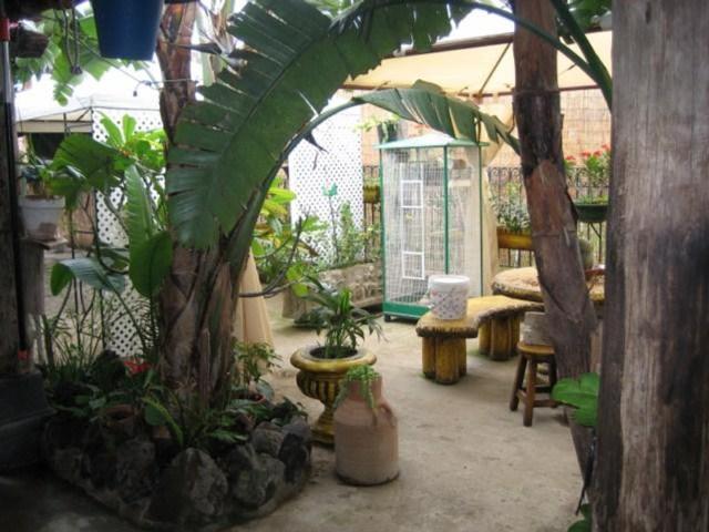 Exclusivo ático de 540 m2 en venta Icod de los Vinos, Canarias