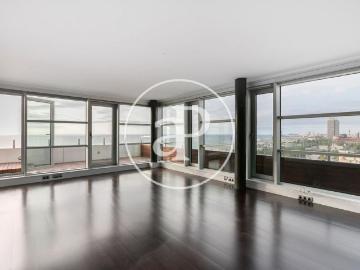 Gandhi, Vista Bella, Santa Cruz, La Higuerita, Tenerife, Santa Cruz de Tenerife, Islas Canarias, Islas Canarias