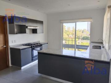 EXCLUSIVO DEPARTAMENTO EN RENTA AL NORTE