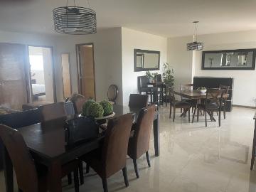 Exclusivo departamento en renta Amueblado cerca a las Ánimas y circuito Juan Pablo II