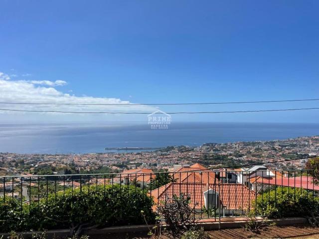 EXCLUSIVO Elegante Bangalô de Jardim com Potencial de Renda. 150m² Monte